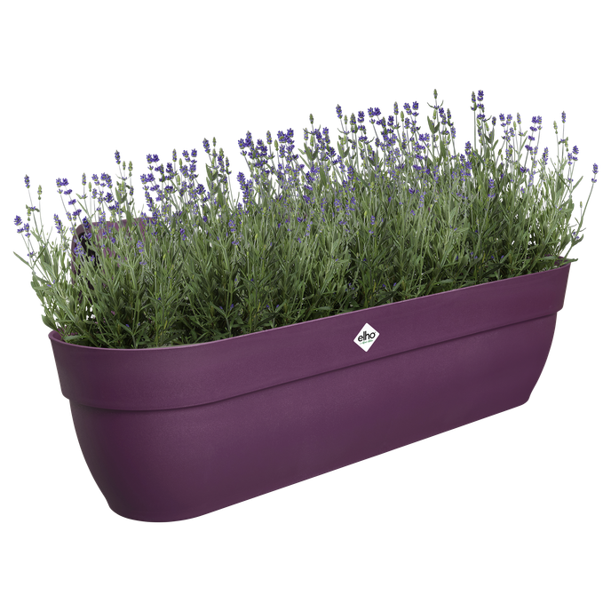 vibia campana easy hanger XXL 70cm porpora acero